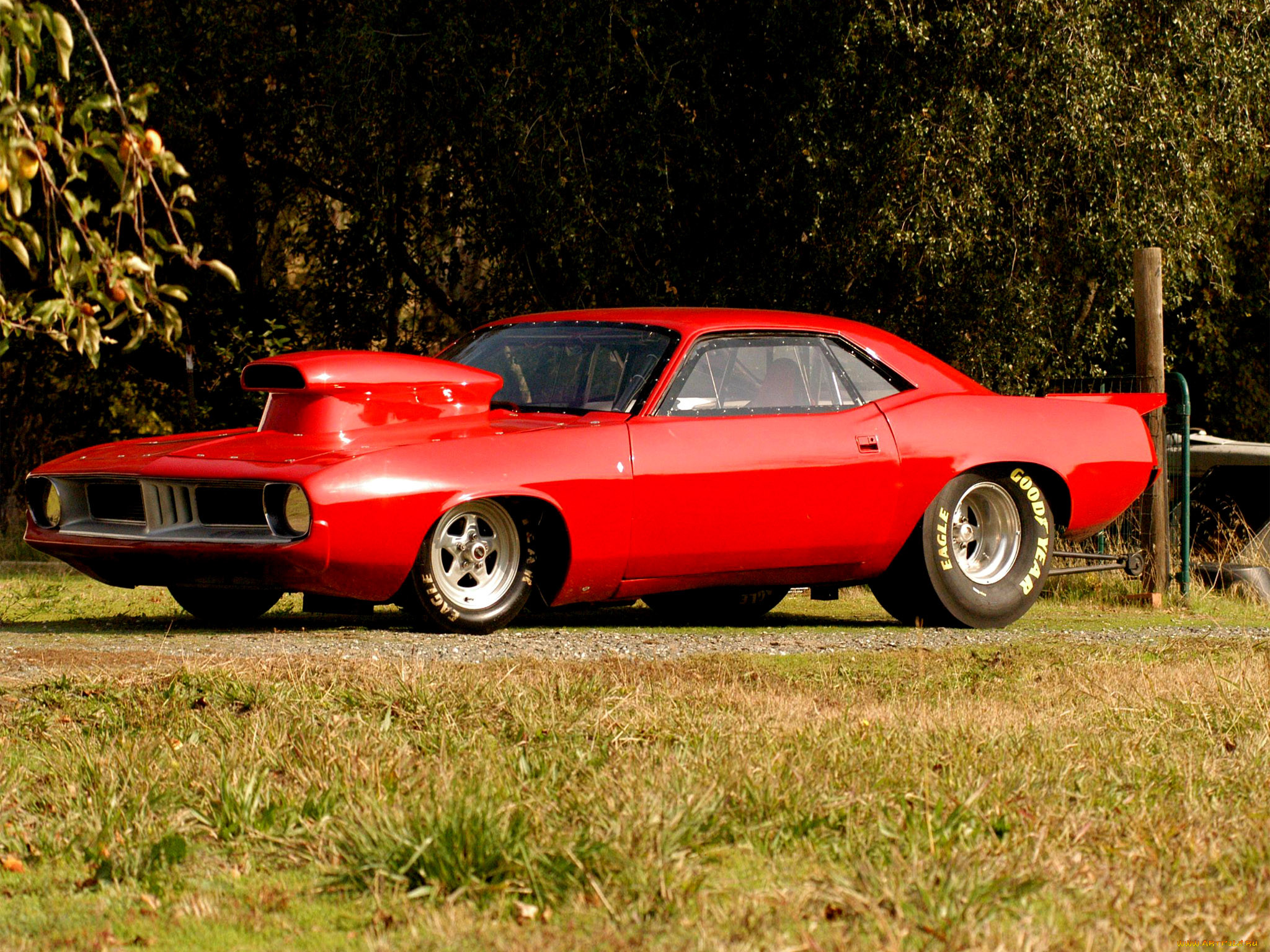 Плимут. Машина Plymouth CUDA. Машина Plymouth Hemi CUDA. Плимут машина 1970. Плимут Барракуда 1970 дрэг.